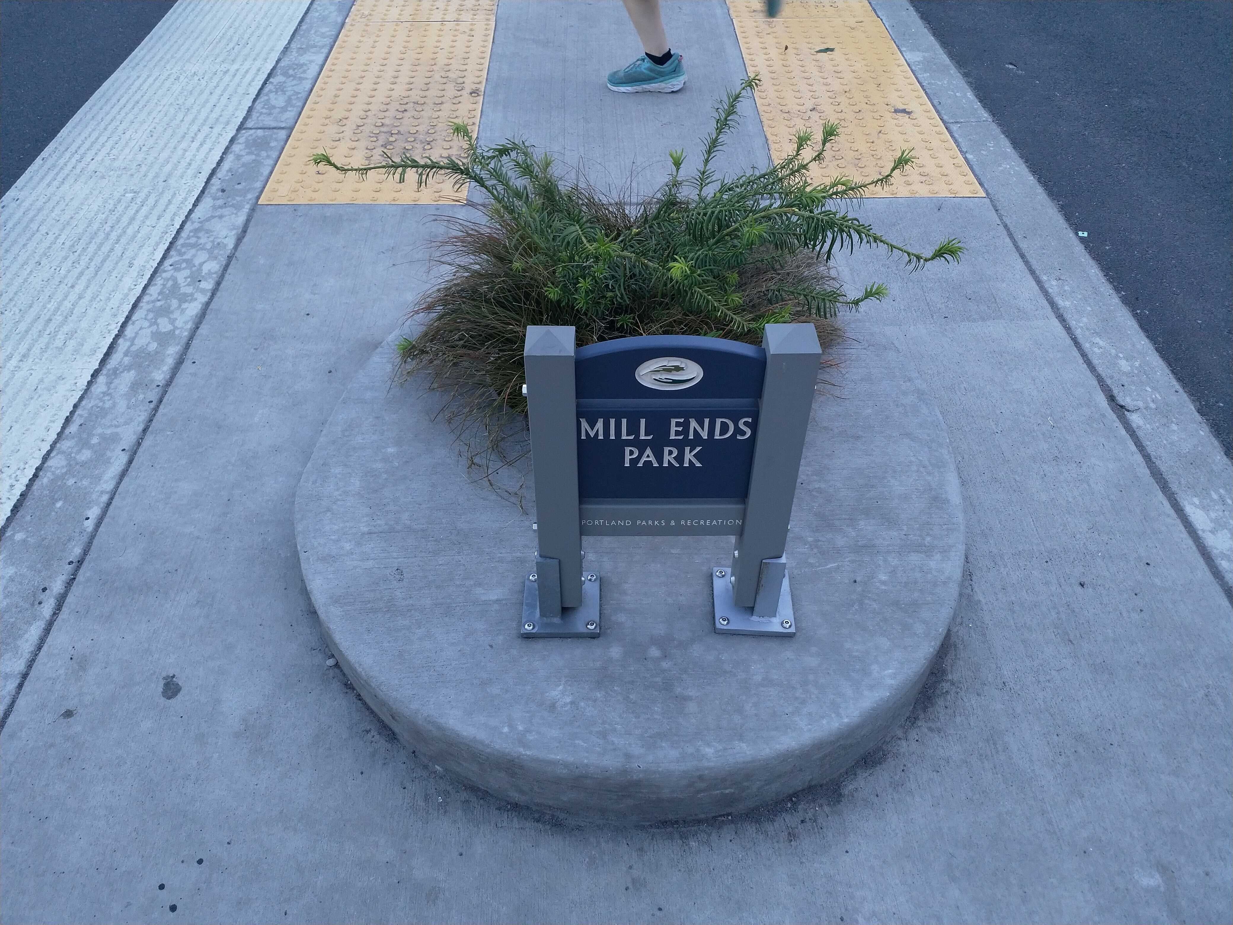 The world’s smallest park: Mill Ends Park.